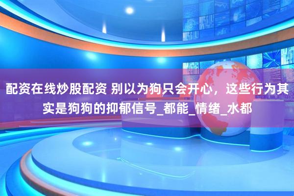 配资在线炒股配资 别以为狗只会开心，这些行为其实是狗狗的抑郁信号_都能_情绪_水都
