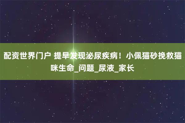 配资世界门户 提早发现泌尿疾病！小佩猫砂挽救猫咪生命_问题_尿液_家长