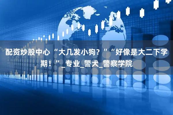 配资炒股中心 “大几发小狗？”“好像是大二下学期！”_专业_警犬_警察学院