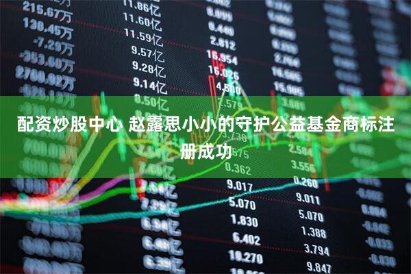 配资炒股中心 赵露思小小的守护公益基金商标注册成功