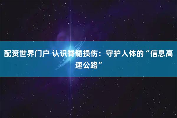 配资世界门户 认识脊髓损伤：守护人体的“信息高速公路”